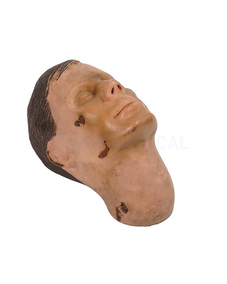 Fake Head 